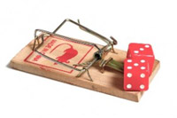 Farelerin riskli �ans oyunu oynayabildi�ini tespit edildi.